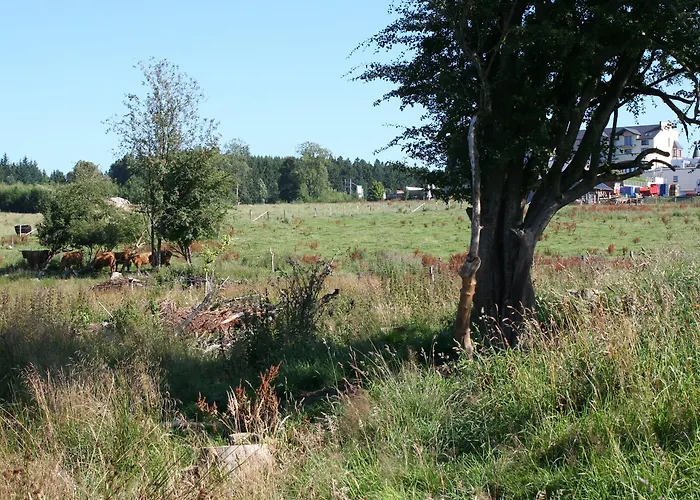 Hotel Wemperhardt 4* Wemperhardt