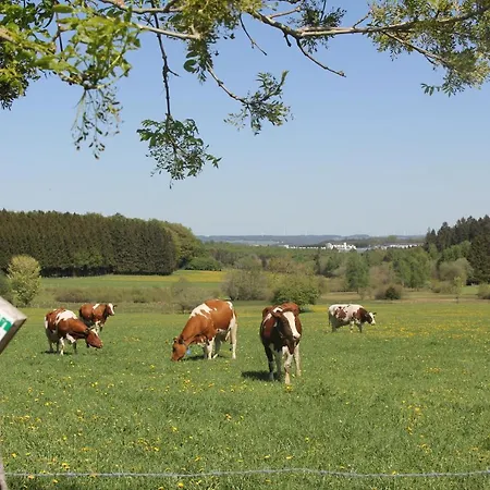 ホテル Hotel Wemperhardt Wemperhardt