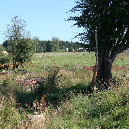 文珀哈特酒店 4* Wemperhardt