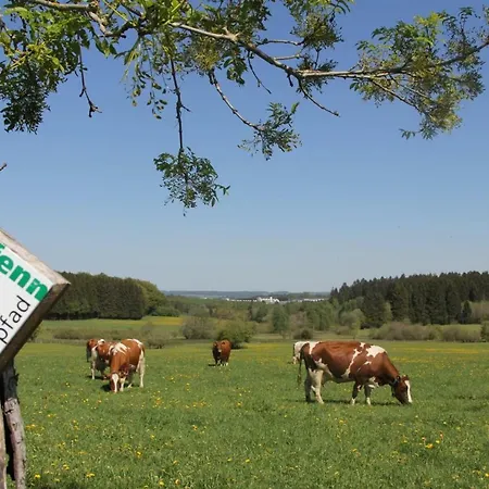 文珀哈特酒店 4* Wemperhardt