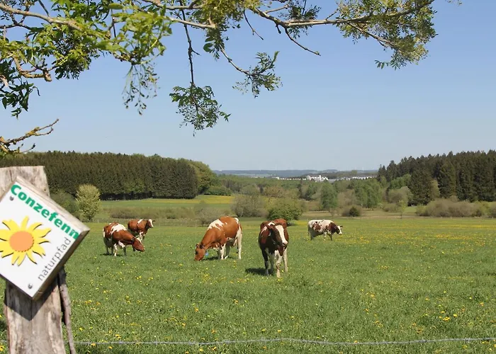 Hotel Hotel Wemperhardt Wemperhardt