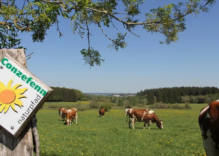 Hotel Wemperhardt 4* Wemperhardt